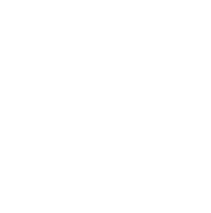 Global Fortis